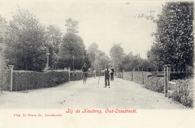 13384 Gezicht in de Oud-Loosdrechtsedijk te Oud-Loosdrecht (gemeente Loosdrecht) uit het oosten. N.B. De gemeente ...
